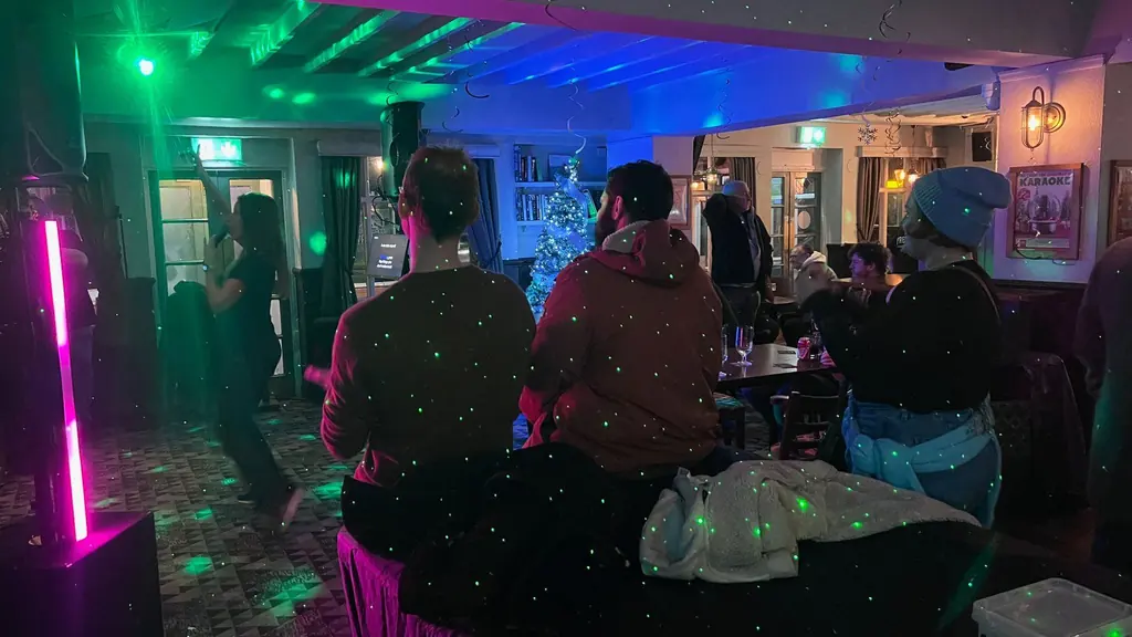A karaoke night in a pub: people at a table watching a singer under coloured party lights.